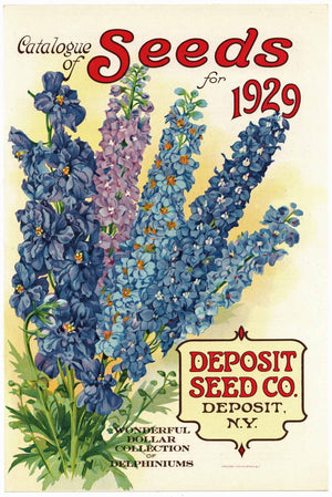 Vintage Seed Packets 1900-1940