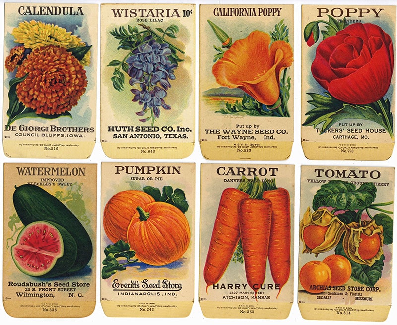 Extensive Inventory of Antique Seed Packets thelabelman