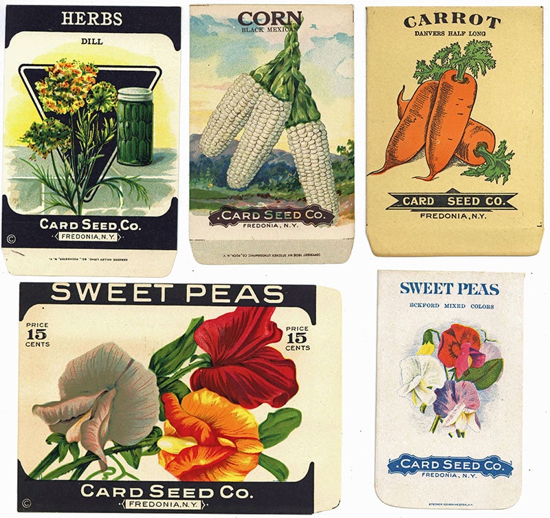 Card Seed Company packets