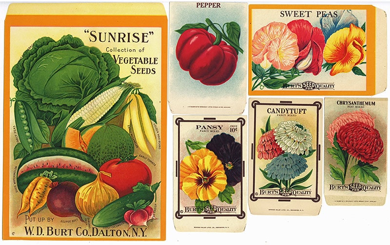 small sample of Burt’s seed packets