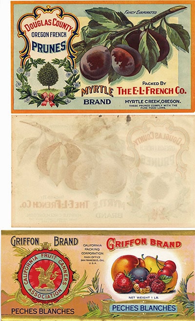 front and back of an early Myrtle prune label, also the front of an embossed Griffon brand with gold trim