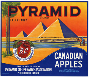 Pyramid Brand Vintage Canadian Apple Crate Label