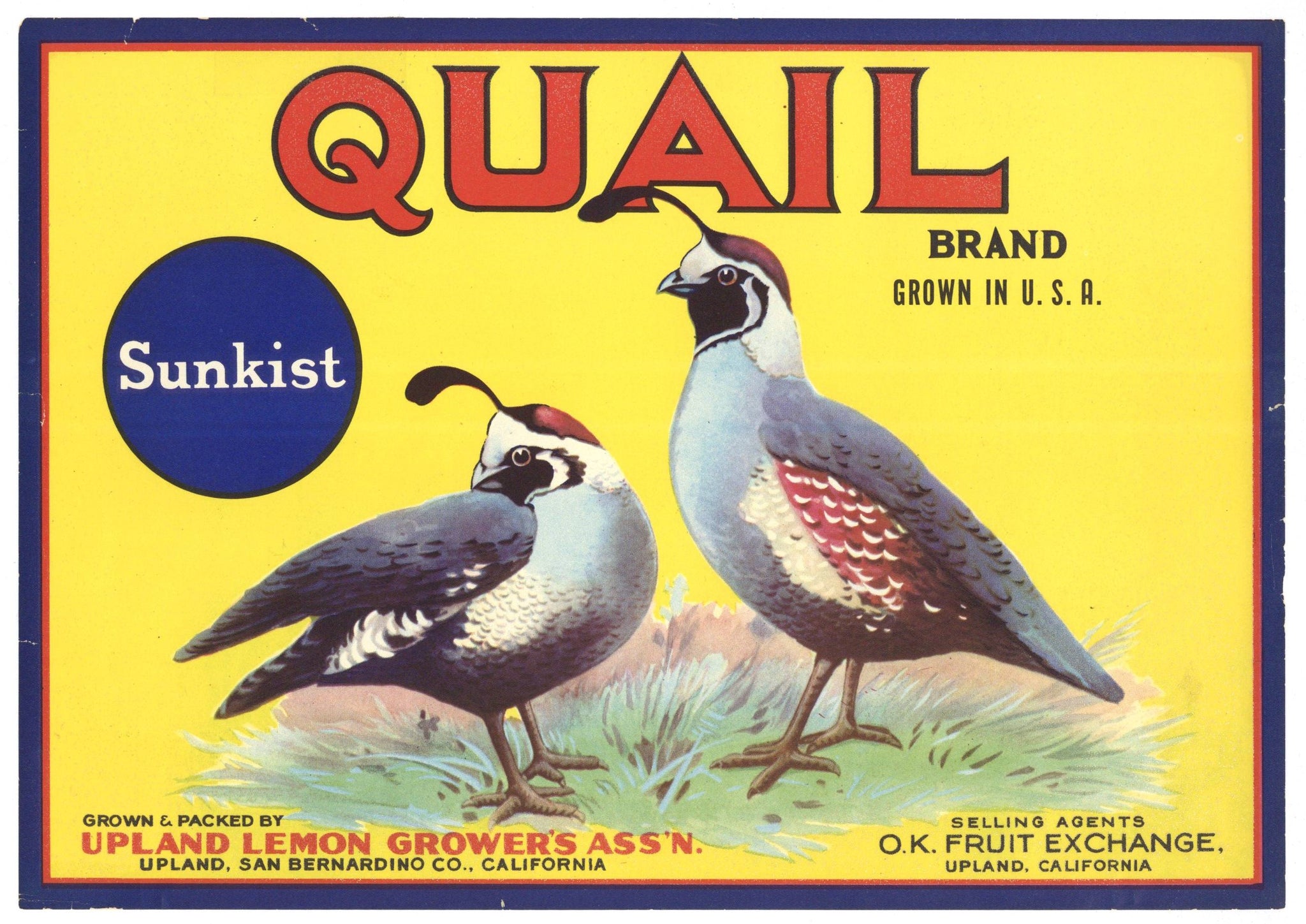 Quail Brand Vintage Upland California Lemon Crate Label