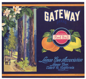 Gateway Brand Vintage Lemon Cove California Lemon and Orange Crate Label