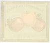 Northwestern Apples Brand Vintage Yakima Apple Crate Label