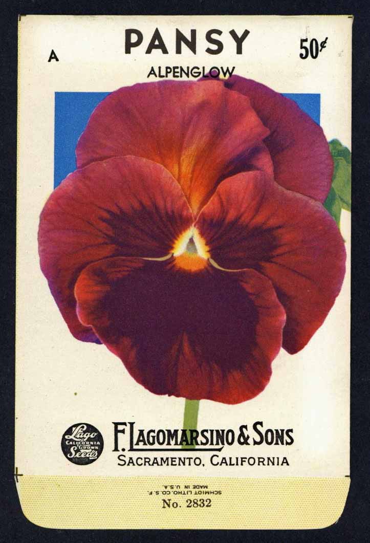 Pansy Vintage Lagomarsino Seed Packet, Alpenglow