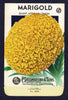 Marigold Vintage Lagomarsino Seed Packet, Giant African Lemon