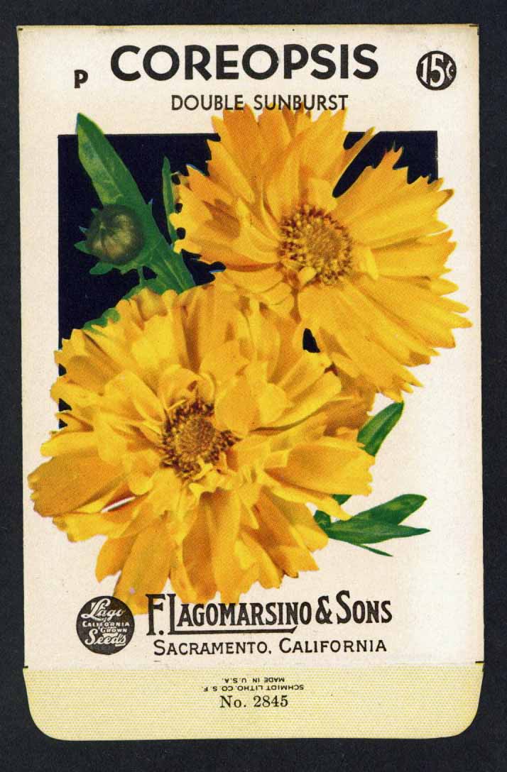 Coreopsis Vintage Lagomarsino Seed Packet, Double Sunburst