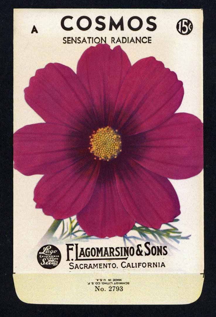 Cosmos Vintage Lagomarsino Seed Packet, Sensation