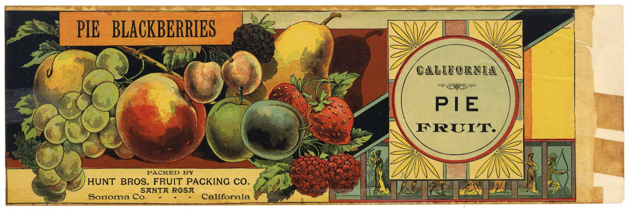 Pie Fruit Brand Vintage Sonoma California Can Label