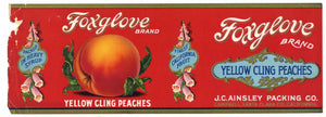 Foxglove Brand Vintage Peach Can Label