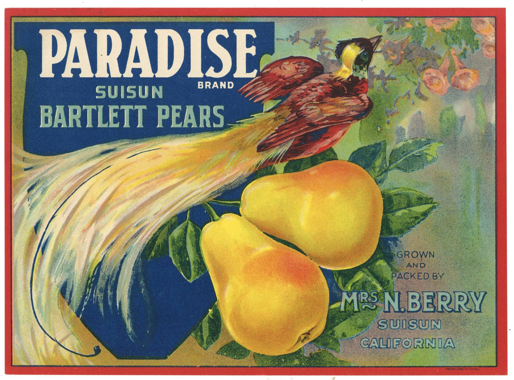 Paradise Brand Vintage Suisun California Pear Crate Label