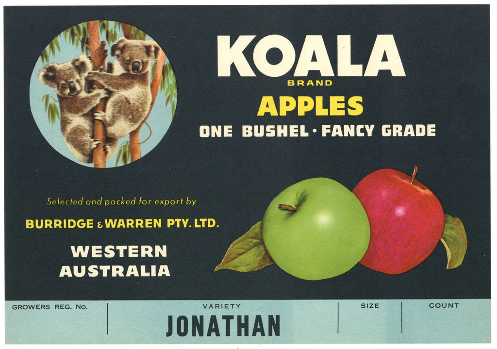 Koala Brand Vintage Australian Apple Crate Label, Jonathan