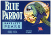 Blue Parrot Brand Vintage Pear Crate Label, 4/5 bushel