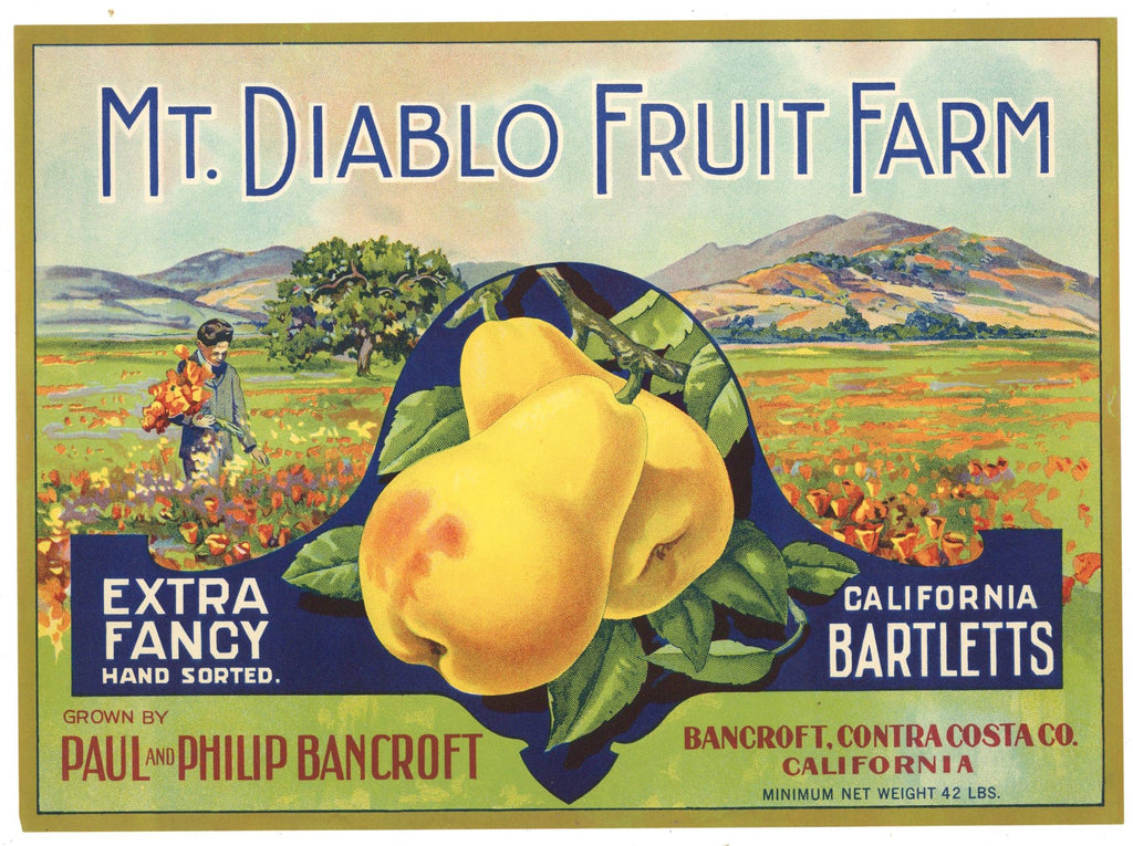 Mt. Diablo Fruit Farm Brand Vintage Pear Crate Label