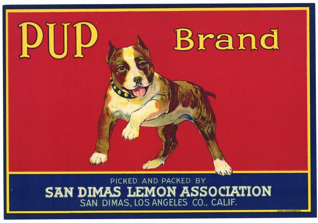 Pup Brand Vintage San Dimas California Lemon Crate Label