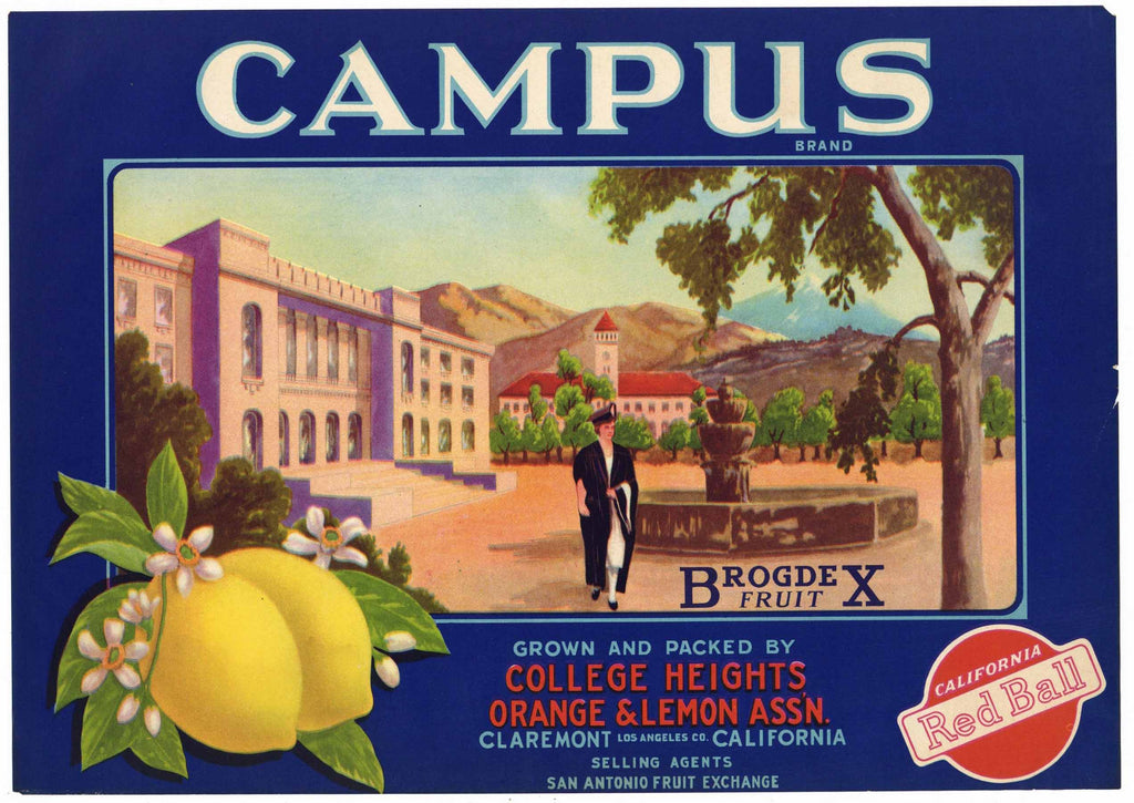 Campus Brand Vintage Clarmont California Lemon Crate Label