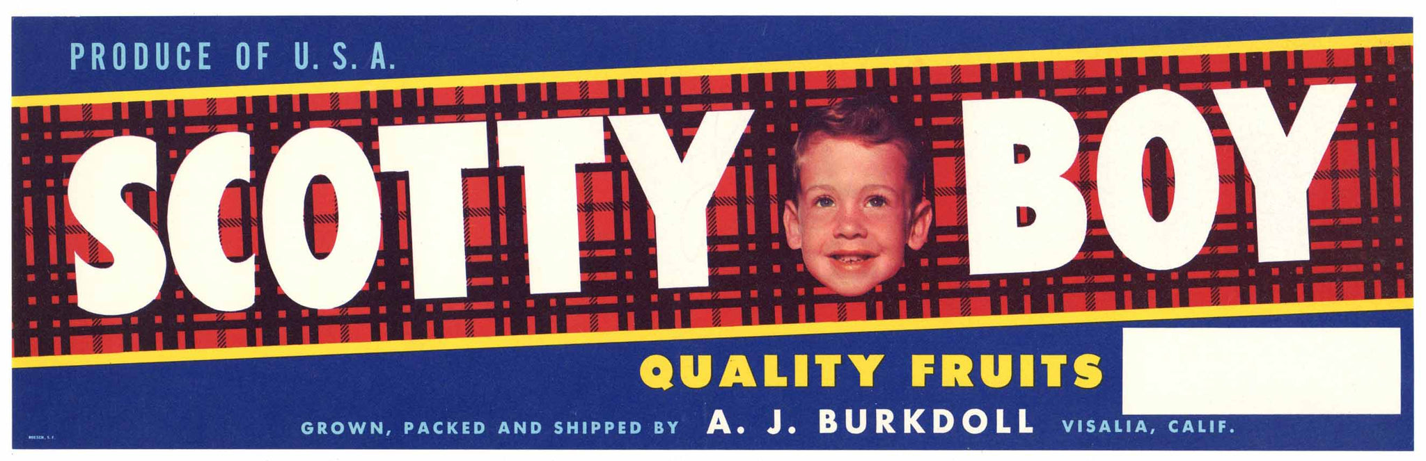 Scotty Boy Brand Vintage Visalia California Fruit Crate Label