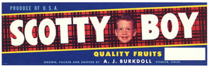 Scotty Boy Brand Vintage Visalia California Fruit Crate Label