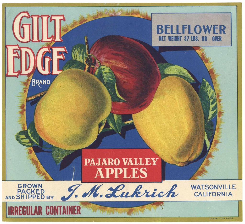 Gilt Edge Brand Vintage Watsonville Apple Crate Label