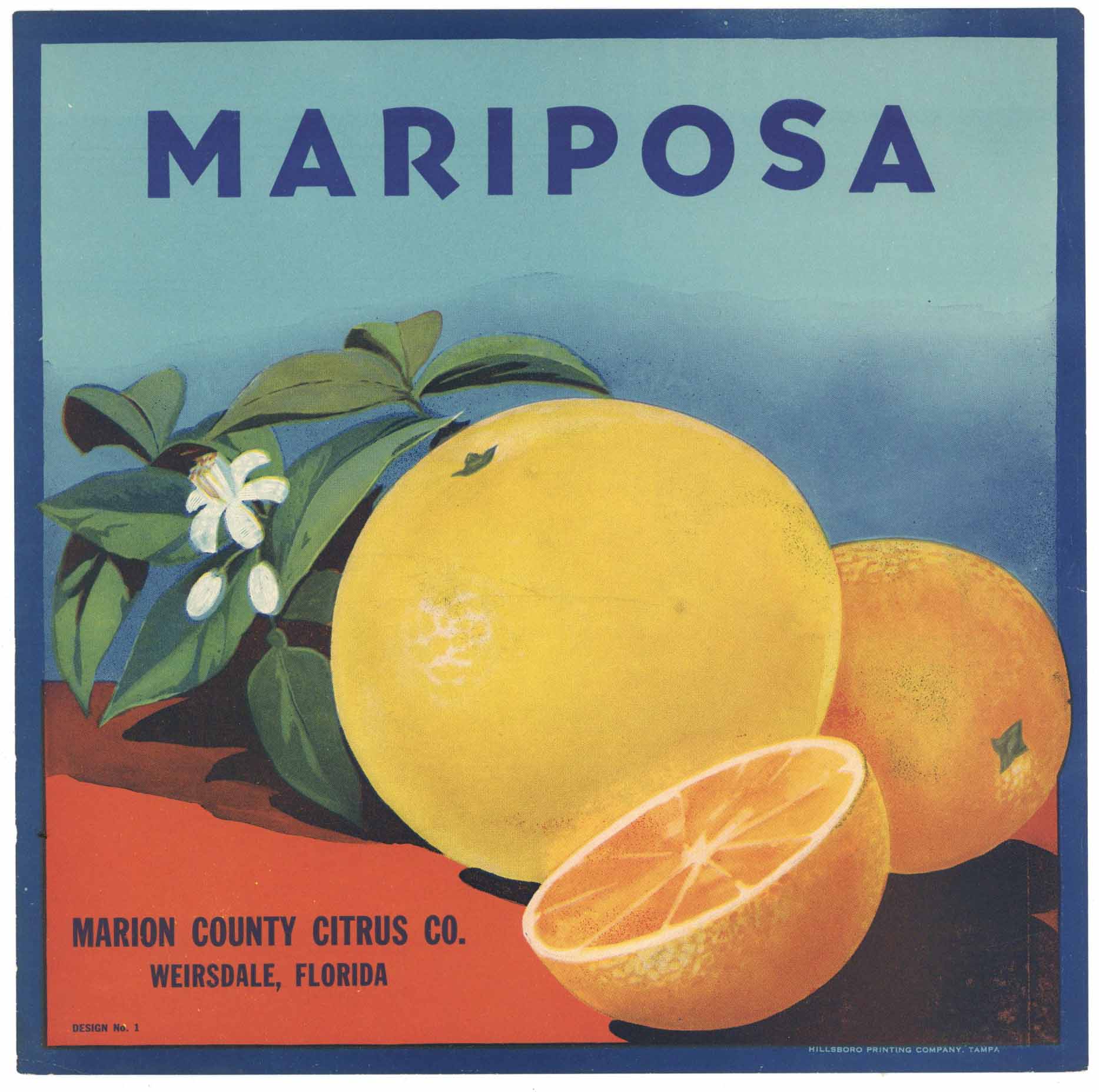 Mariposa Brand Vintage Weirsdale Florida Citrus Crate Label