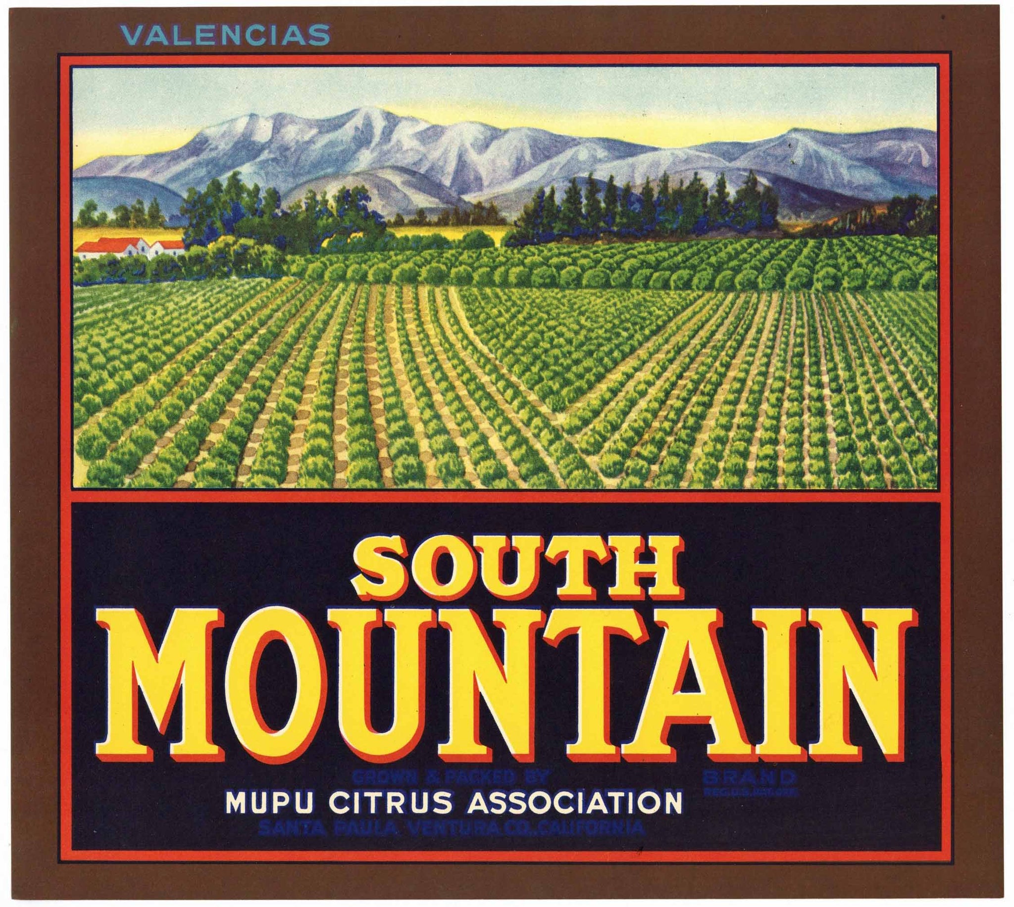 South Mountain Brand Vintage Santa Paula Orange Crate Label, darker