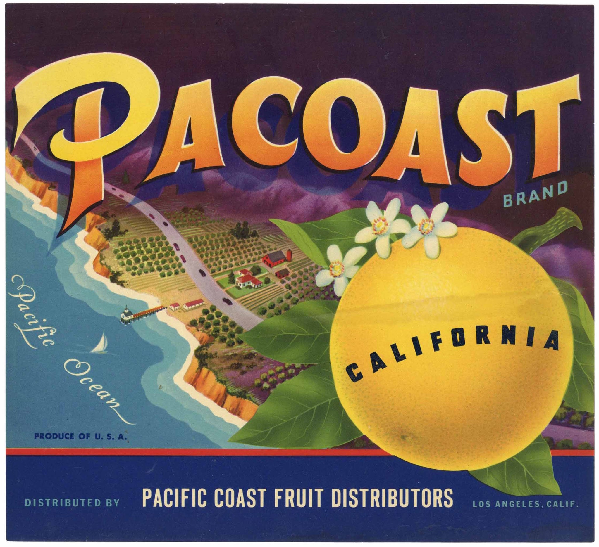 Pacoast Brand Vintage California Grapefruit Crate Label