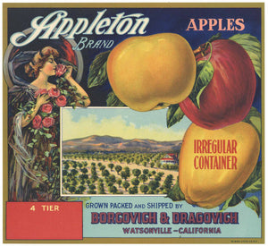 Appleton Brand Vintage Watsonville Apple Crate Label, op, 4 tier on lower left