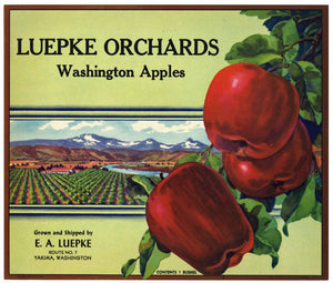 Luepke Orchards Brand Vintage Yakima Washington Apple Crate Label