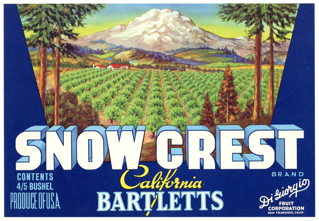 Snow Crest Brand Vintage Pear Crate Label, no zipcode
