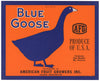 Blue Goose Brand Vintage Yakima Washington Apple Crate Label, one bushel