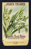 Job's Tears Antique Everitt's Seed Packet, wave