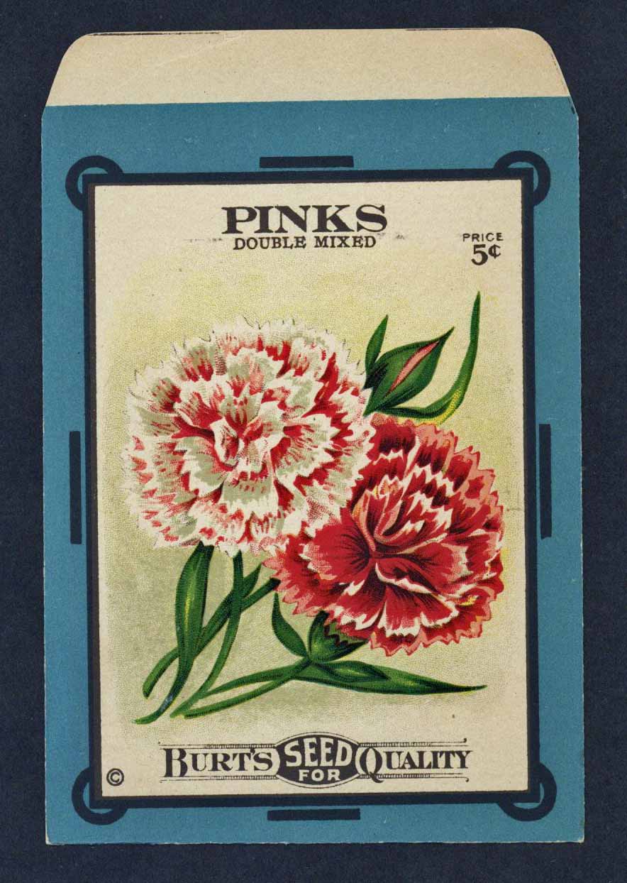 Pinks Antique Burt's Seed Packet, Drumhead, L