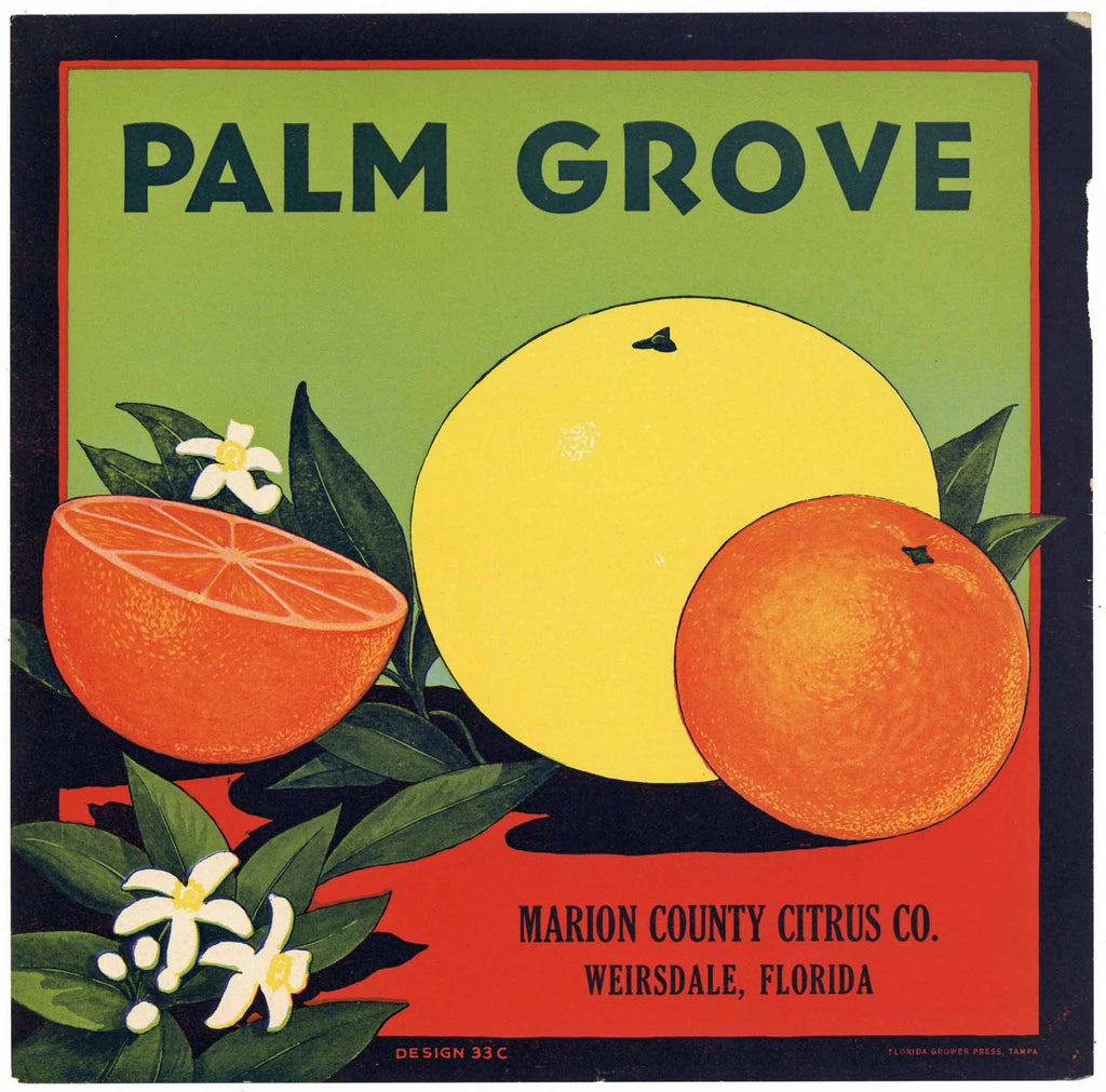 Palm Grove Brand Vintage Weirsdale Florida Citrus Crate Label