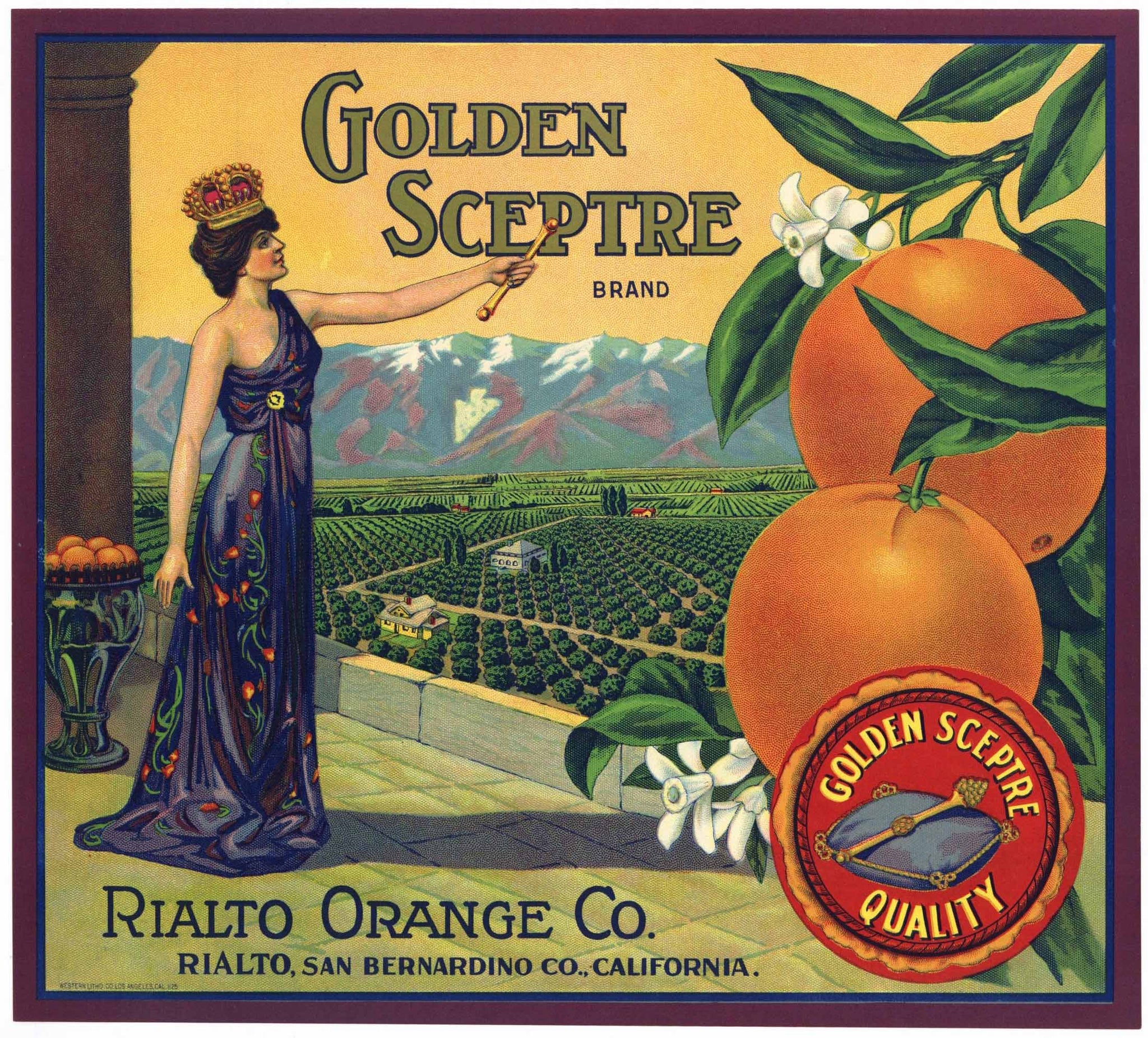 Golden Sceptre Brand Vintage Rialto Orange Crate Label, trimmed