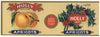 Holly Brand Vintage Apricots Can Label