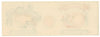 Holly Brand Vintage Apricots Can Label