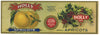 Holly Brand Vintage Whole Apricots Can Label