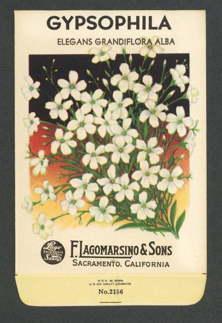 Gypsophila Vintage Lagomarsino Seed Packet, Elegans