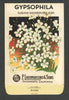 Gypsophila Vintage Lagomarsino Seed Packet, Elegans