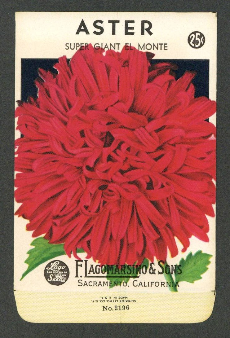Aster Vintage Lagomarsino Seed Packet, Super Giant El Monte