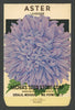 Aster Vintage Archias Seed Store Seed Packet