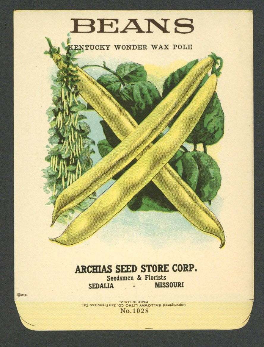 Beans Antique Archias Seed Packet, Kentucky Wonder