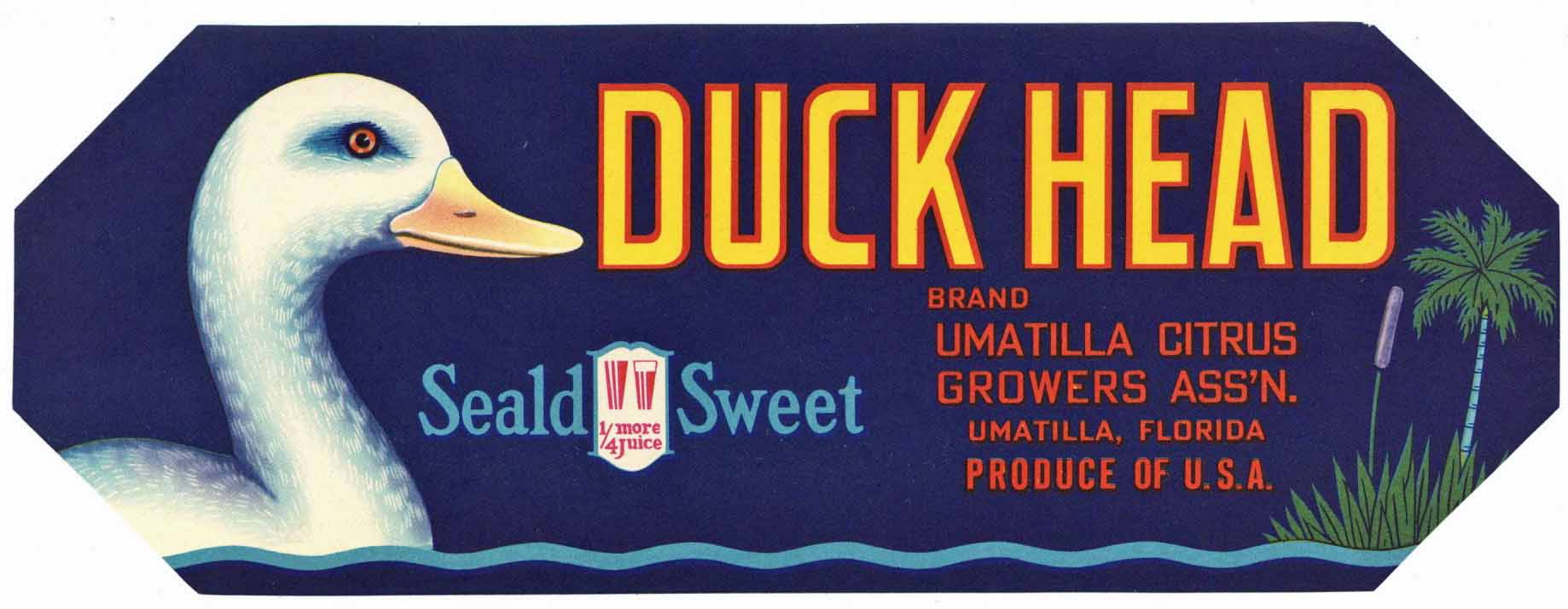 Duck Head Brand Vintage Umatilla Florida Citrus Crate Label, h