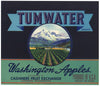 Tumwater Brand Cashmere Washington Apple Crate Label, stock
