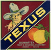 Texus Brand Vintage Donna Texas Citrus Crate Label