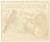 Kentucky Cardinal Brand Vintage Henderson Kentucky Apple Crate Label, printing flaws