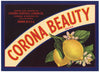Corona Beauty Brand Vintage Riverside County Lemon Crate Label