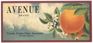 Avenue Brand Vintage Riverside Orange Crate Label, strip