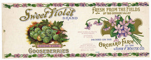 Sweet Violet Brand Vintage Mt. Morris, New York Gooseberries Can Label